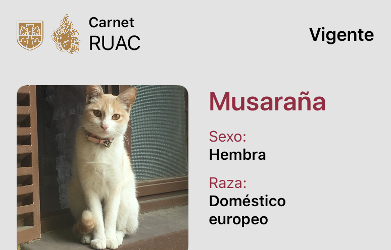 aerodi's tweet photo. @AgatanCdmx @GobCDMX @SEDEMA_CDMX @ClaraBrugadaM @Jualicra @AnaJVillagran Necesito ayuda. Registre en 2018 a mi gatita en el RUAC. Acabo de entrar con mi LlaveCDMX y no me aparece registrada. https://t.co/5LJ7RSi7Nq