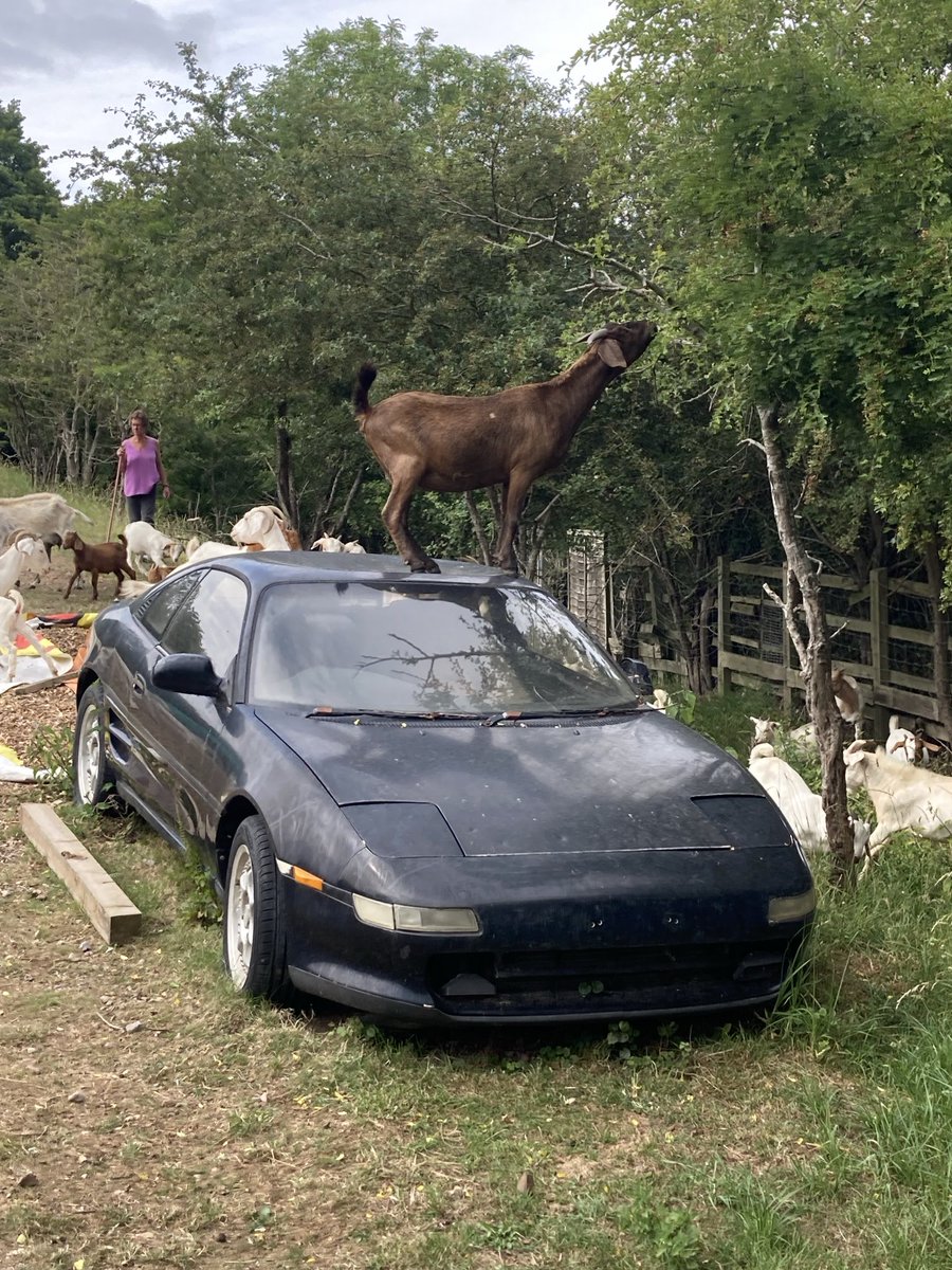 James Moore tweet media