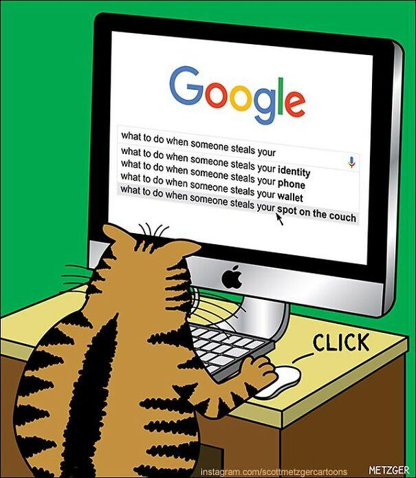 #SundayVibes  🛋️
#Caturday #CatsLover