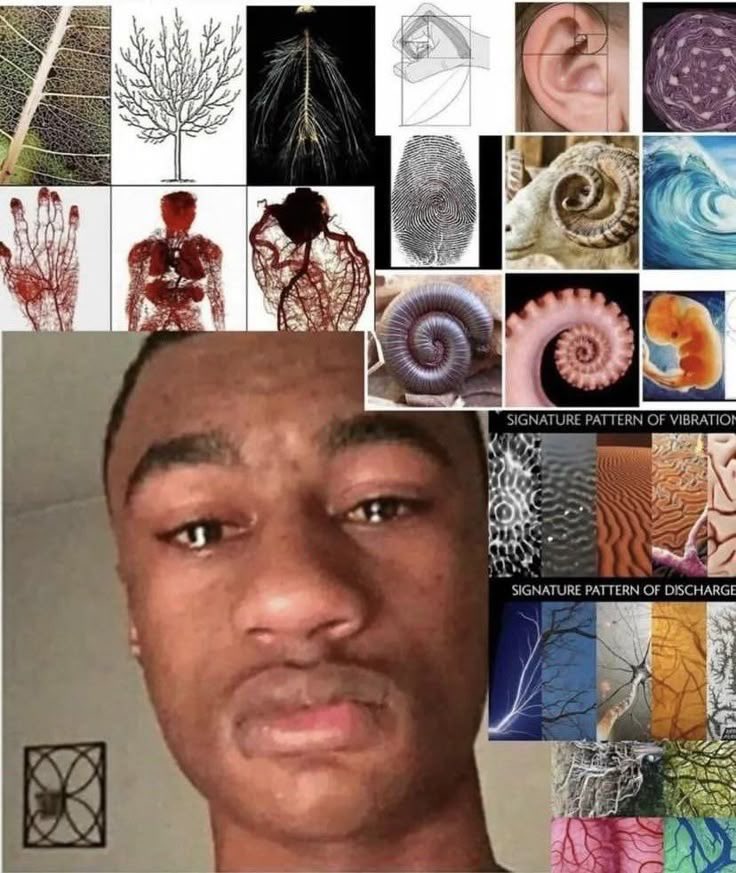 jolly (@woja999) on Twitter photo 