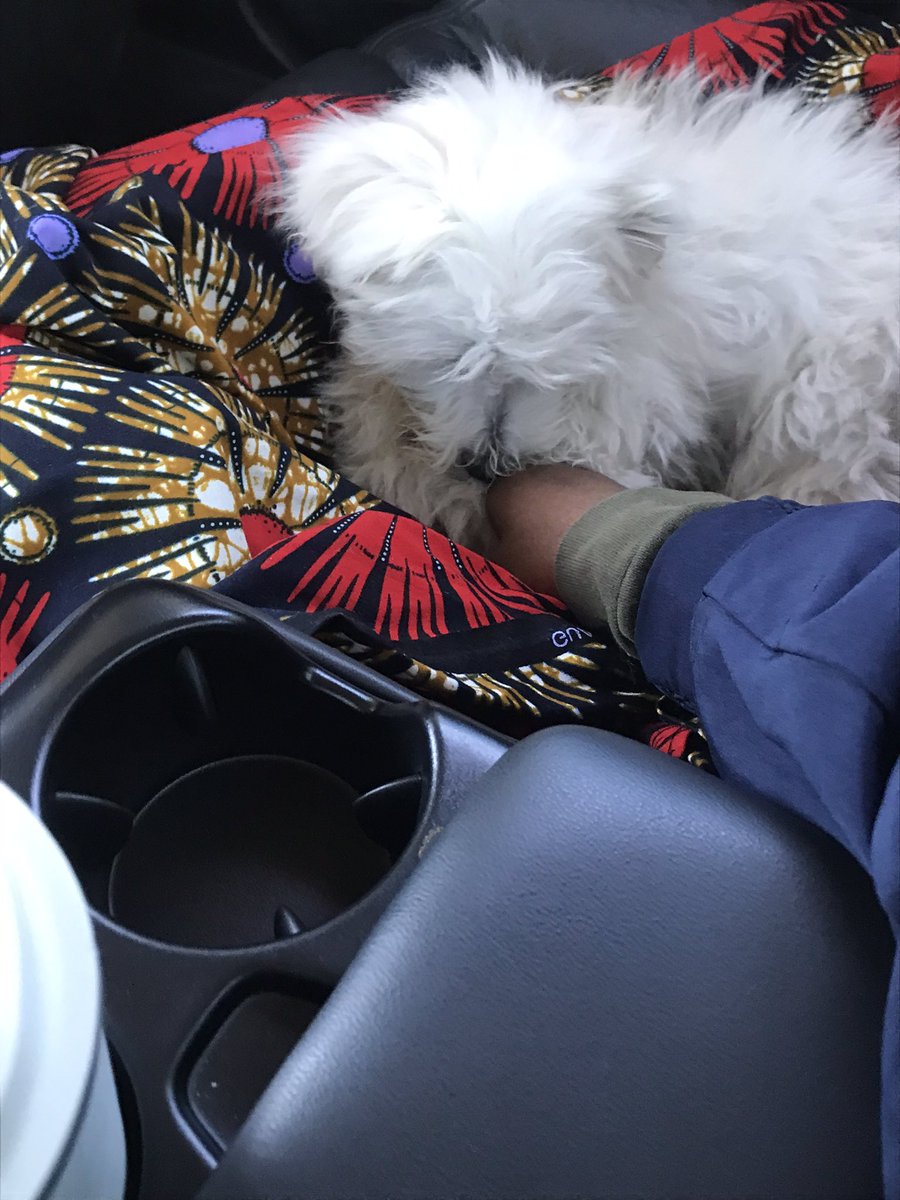 sharon_simango's tweet photo. My little luv💙 https://t.co/iksC4DrQ1t