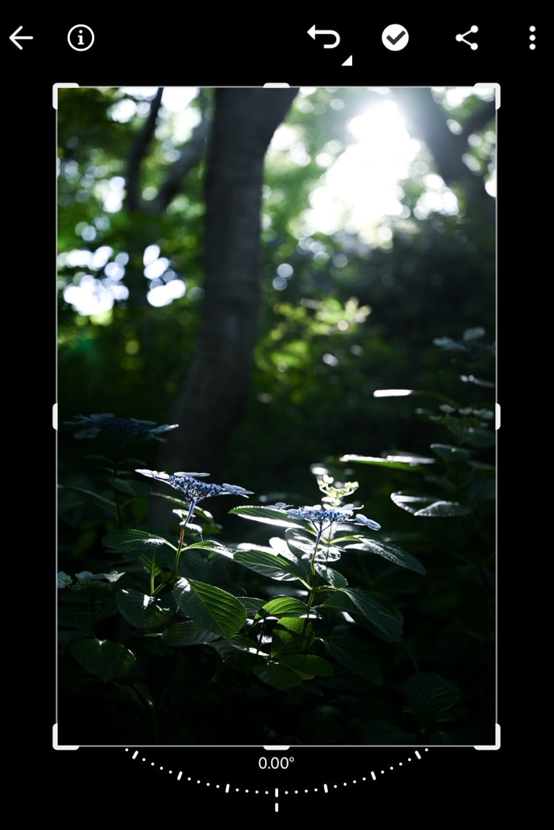 ____________II7's tweet image. 🔵🟣⚪️