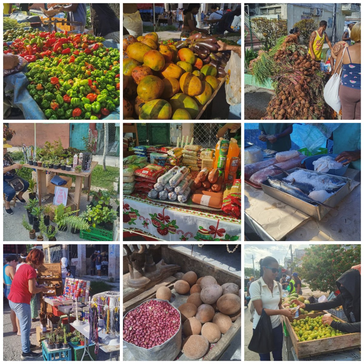 Este fin de semana se realizó Feria Agroindustrial en #DiezDeOctubreEn26.  Variadas ofertas para la población con aceptación para el pueblo. 
#LaHabanaViveEnMí