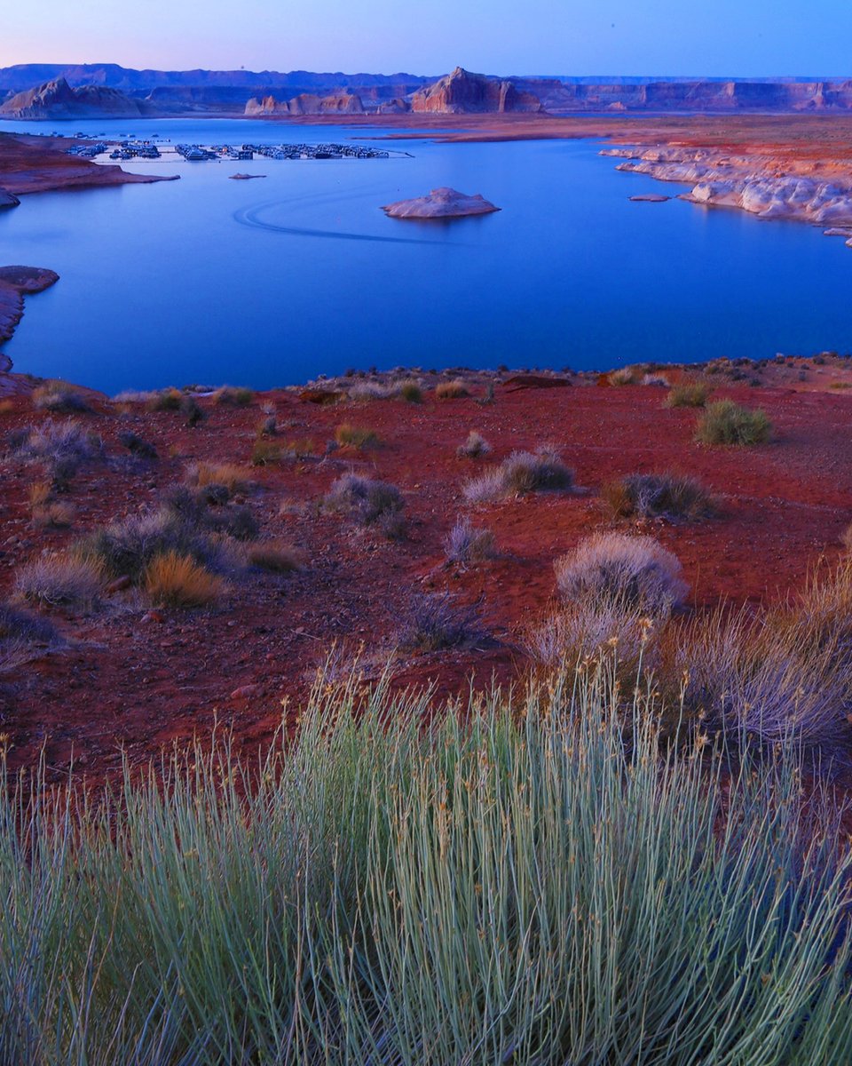 📍Lake Powell

@visitutah @visitlakepowell <a href="/visitpageaz/">Visit Page Arizona</a>

#📷: @paulfolkphoto