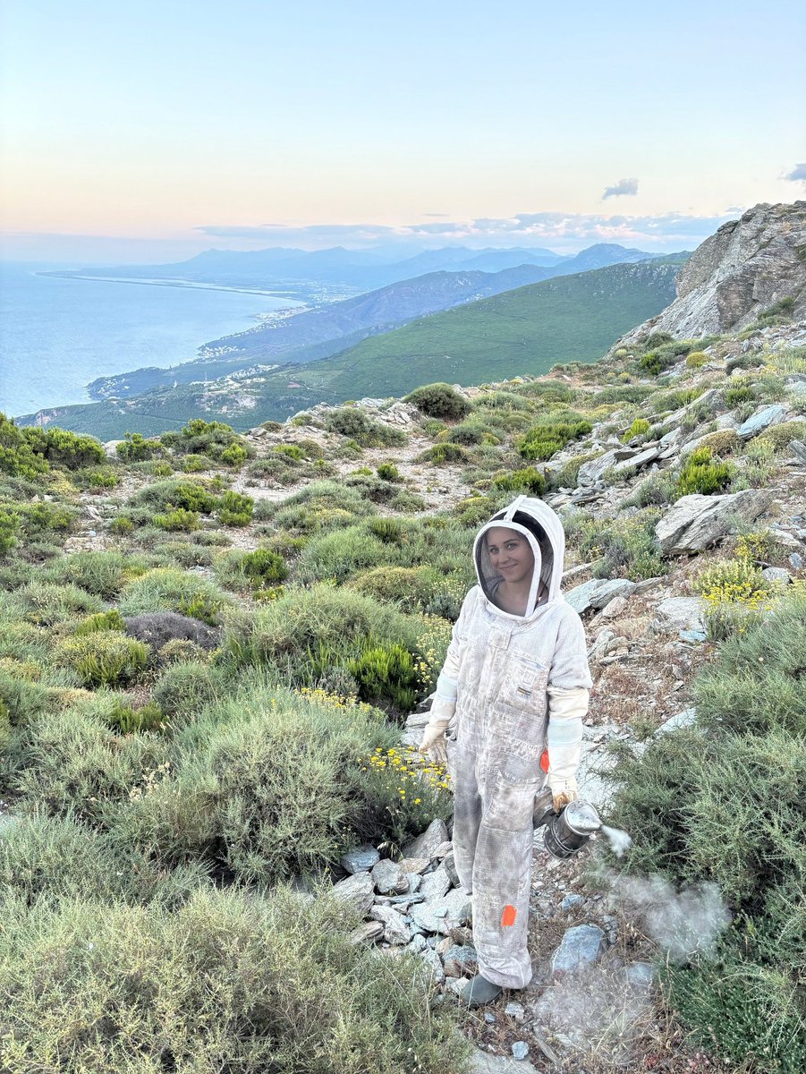 ApiCorsica's tweet photo. Là-haut, c’est pas la 4G qui capte…

C’est le respect des abeilles.
Et crois-moi, ça pique si t’es pas invitée 😉🐝🤔 https://t.co/9sFGZvhTJf