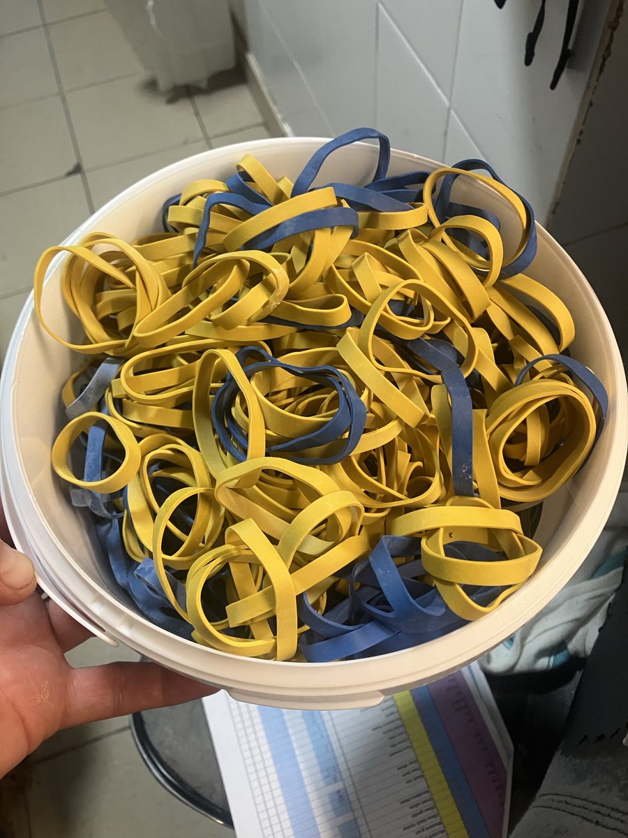 Matt Christmas tweet media