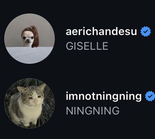 👸🏻💋💄👑                           🐱😽😺😿
🌹🍷🥀🫦                           🐶🐕🙊🤪
🥀💃🏻👠♥️                           🙈🥺😼😻