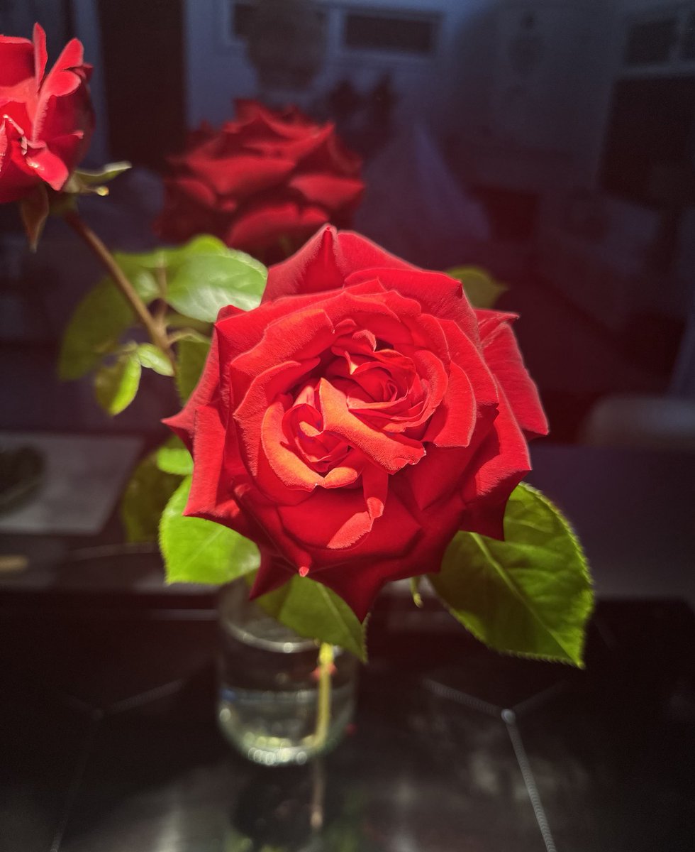 Beautiful evening my lovely family ♥️