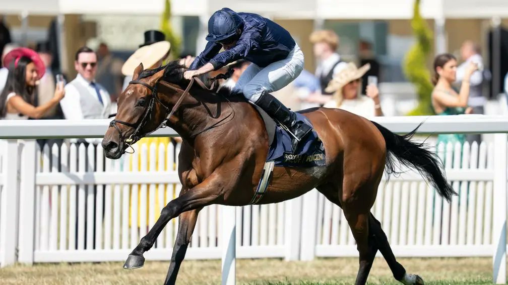 💬'I keep rewatching the race because she keeps winning' 

Garden Of Eden delivers Mark and Stephanie Hanly a dream result with impressive Ribblesdale Stakes

👉 bit.ly/45B7Hp0