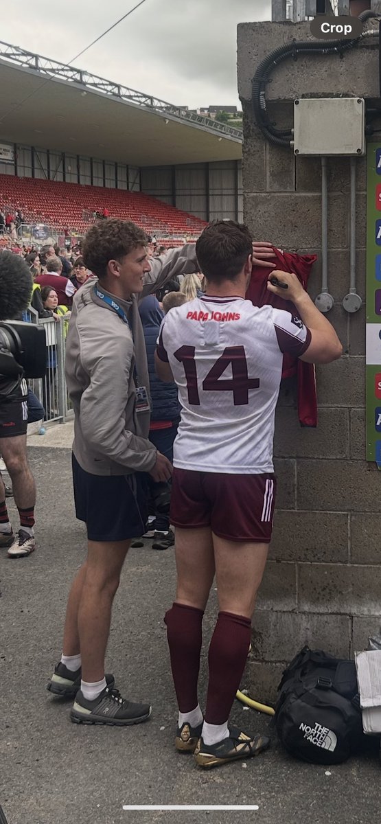 Joe Mulholland tweet media