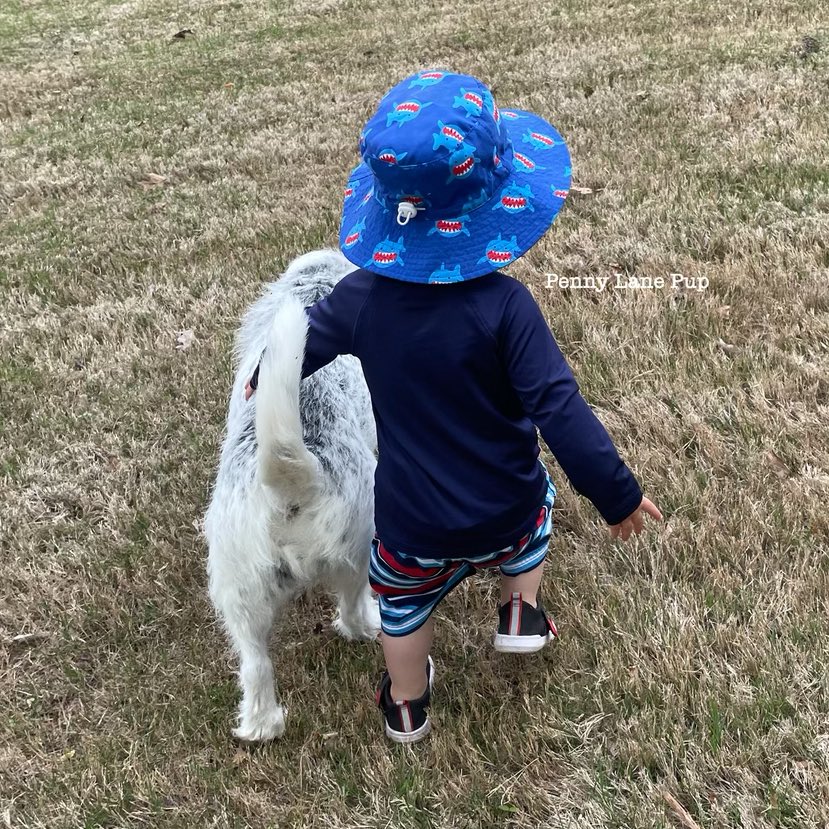 Penny_Lane_Pup's tweet photo. Timeline cleanse…. Some old pics of me and T2B2
#pennylane #T2B2 https://t.co/GtbXIGorKA
