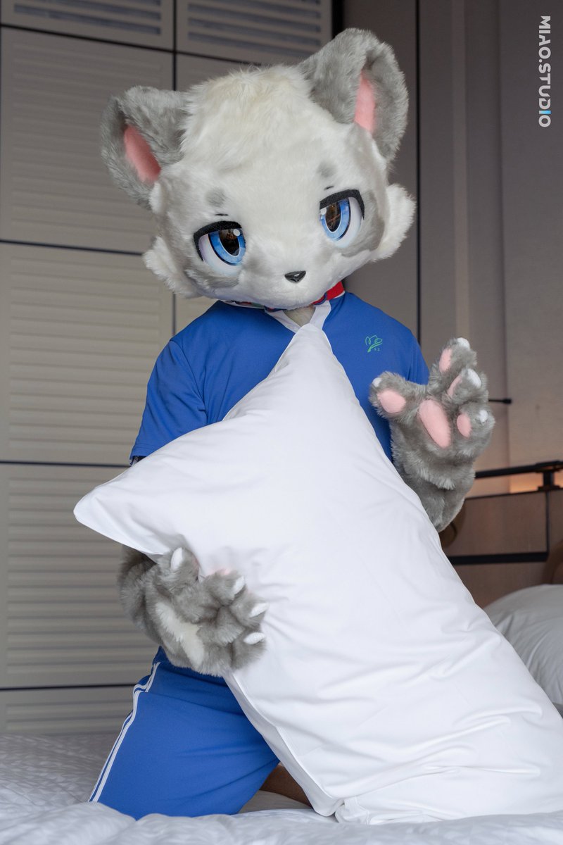 要和我玩枕头大战吗？
#furry #FursuitFriday #fursuit #校服男高 #深圳校服