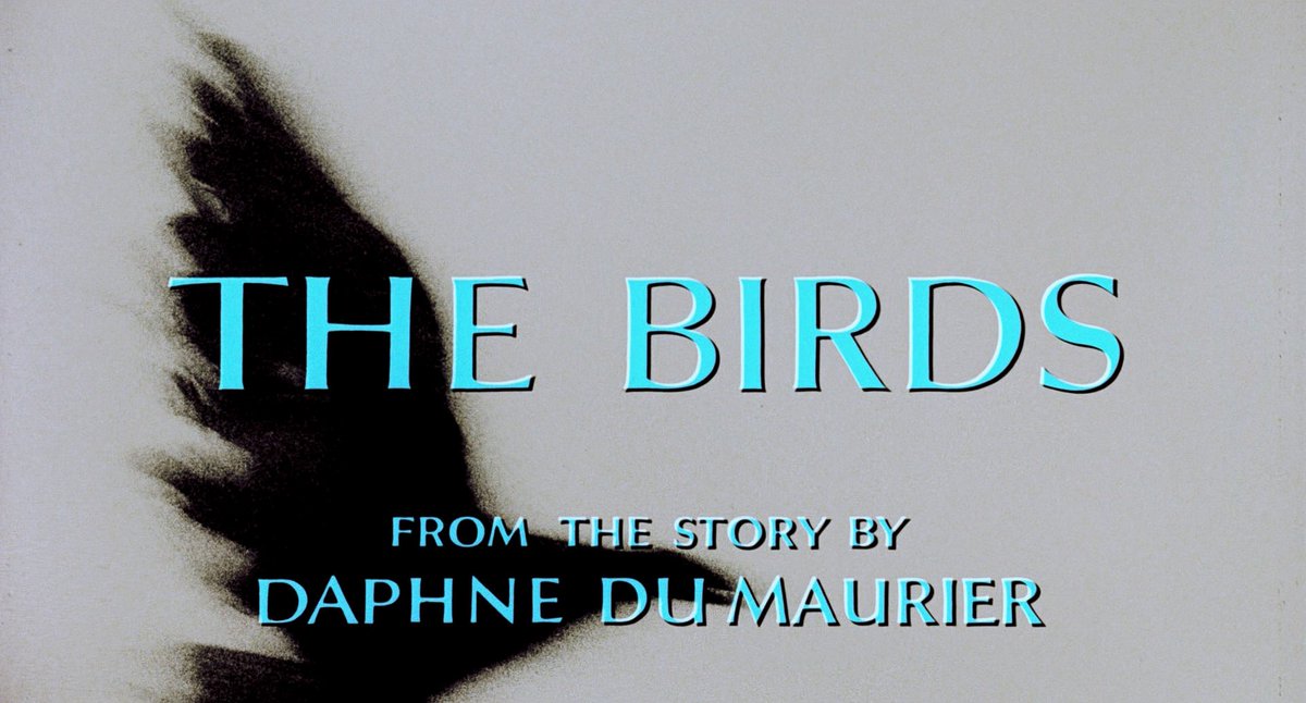 retrofilmm's tweet photo. The Birds (1963) dir. Alfred Hitchcock https://t.co/pW2Jwe5k9u