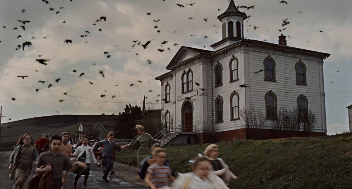 retrofilmm's tweet photo. The Birds (1963) dir. Alfred Hitchcock https://t.co/pW2Jwe5k9u