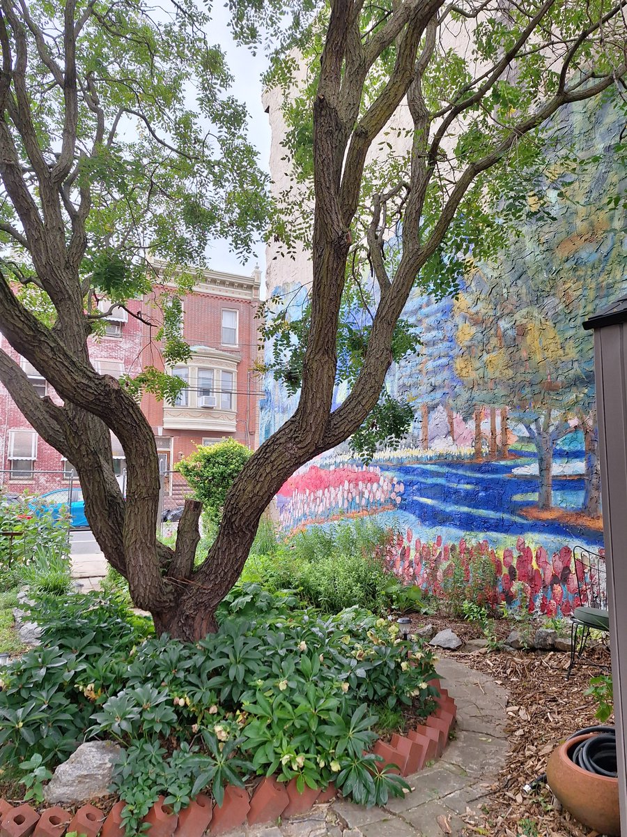 phunnyphilly's tweet image. Community garden, South Philadelphia.
#SeenInPhilly