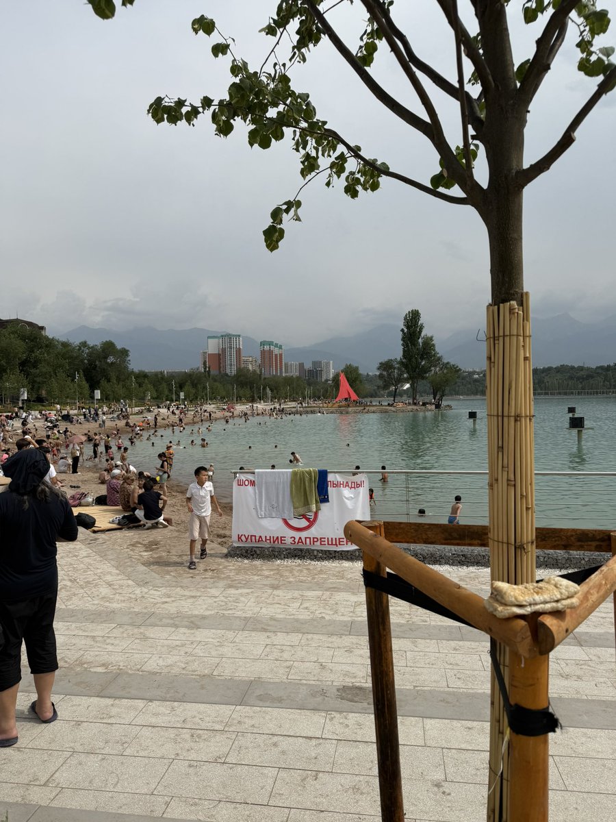 Михаил Козачков tweet media