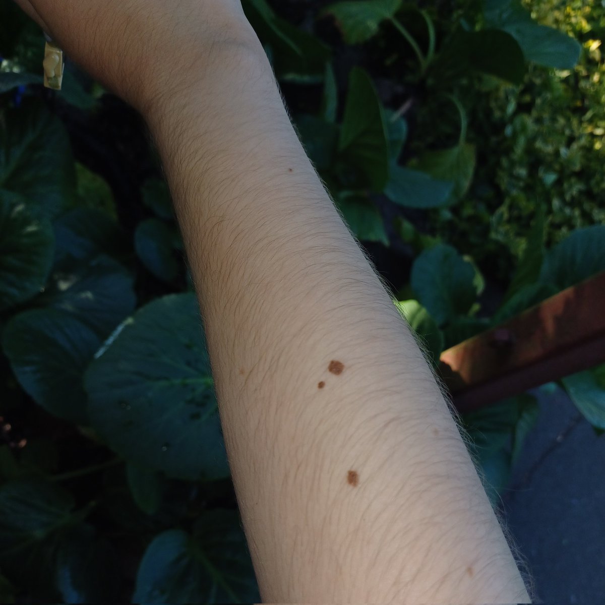 ysia ★ tweet media