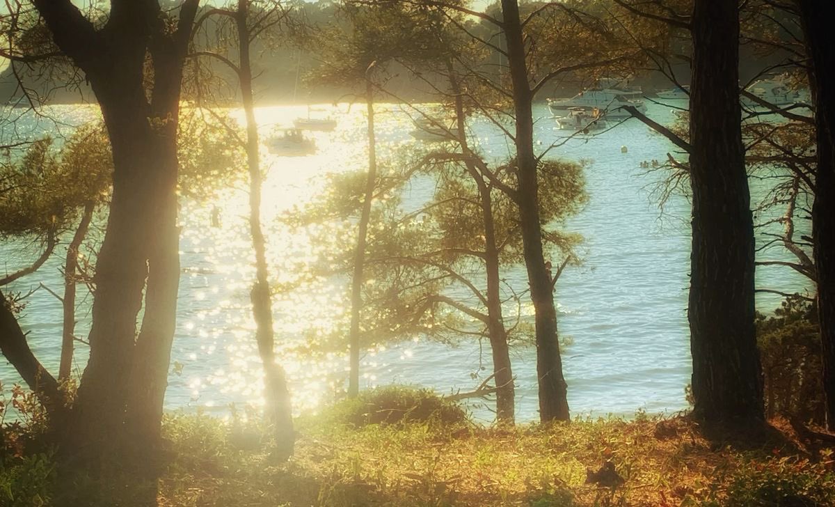 it’s june after all, and you’re young until september