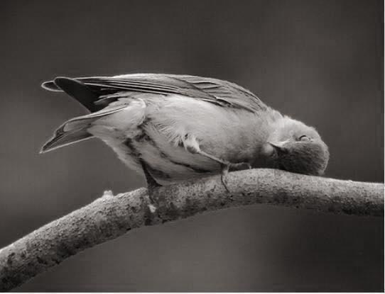 كُل مواجع الحياة تمحوها آية :
(وعسى أن تكرهوا شيئاً وهو خير لكم)