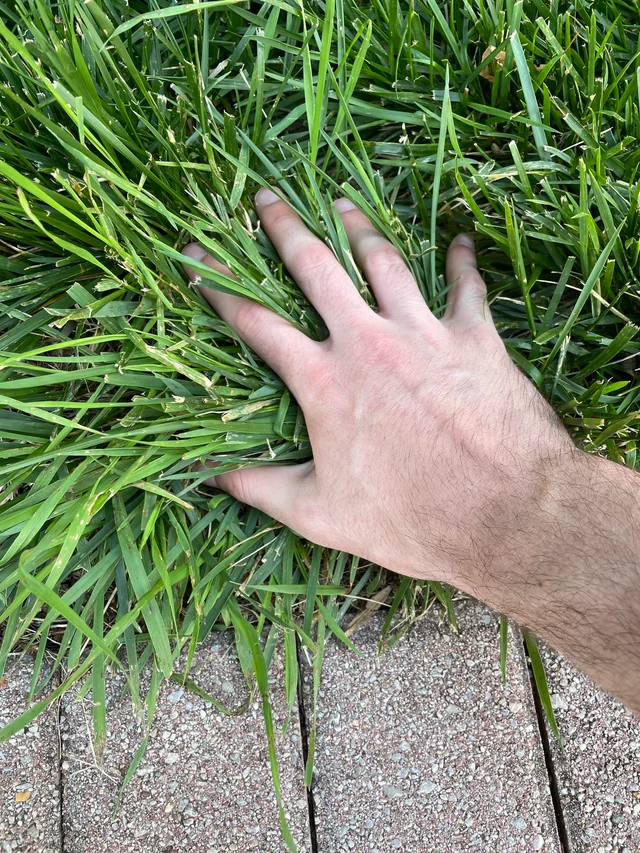 madeina812's tweet photo. #openseatouchgrass https://t.co/7DAtPXUeMX
