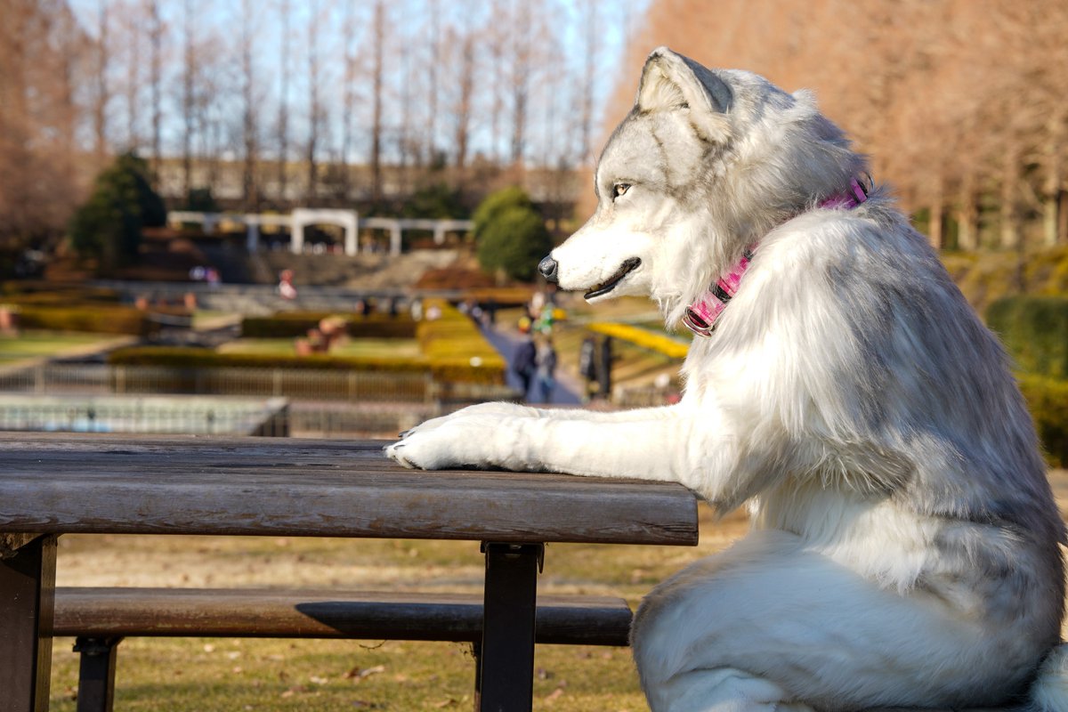 #キャラの横顔選手権