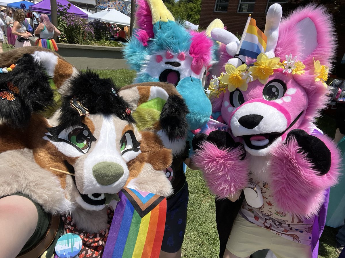 haloight's tweet photo. 🧵HAPPY PRIDE!!! 
🌈🖤🤎🩷❤️🧡💛💚🩵💙💜🌈#soknopride #soknopride2025 #PrideMonth2025 #FursuitEveryday https://t.co/L6pEENH8CV
