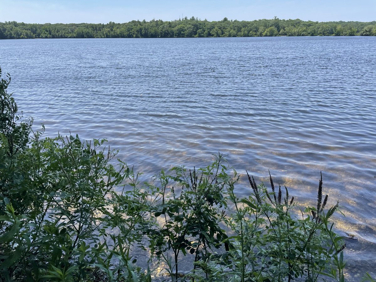 Zhigang Suo tweet media