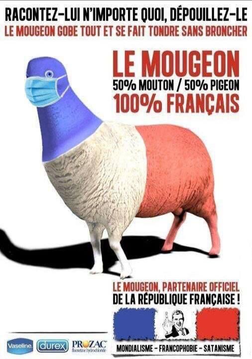 Moisescot Philippe tweet media