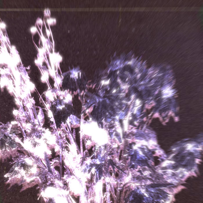WAÎL - a place (2025)

shoegazeralive9.blogspot.com/2025/06/wail-p…

#WAÎL #shoegaze #2025 #bandcamp
