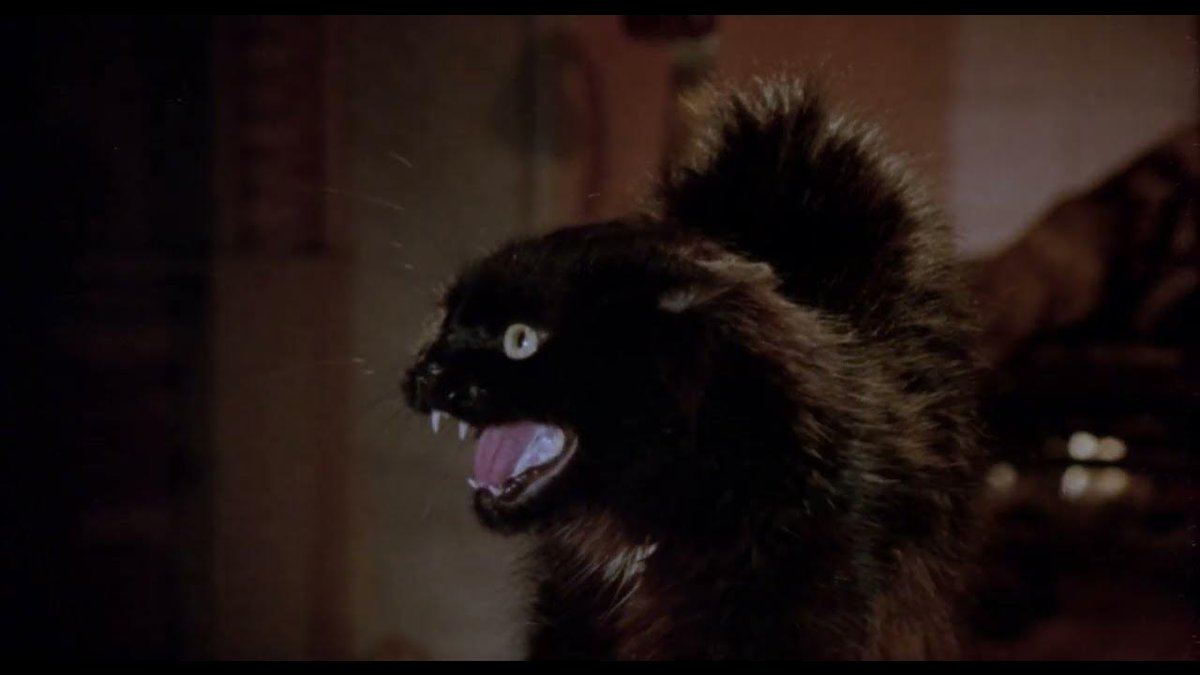 Más negro que la noche (1975) terror mexicano por excelencia.