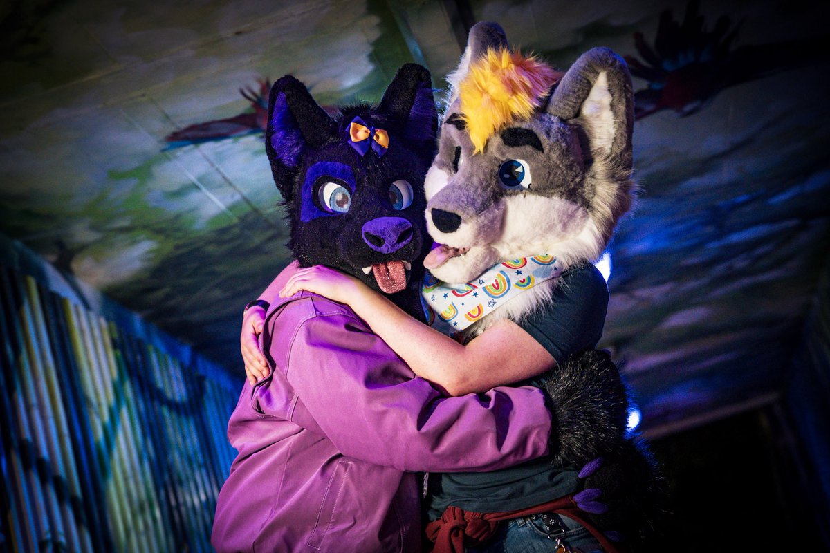 I know that I may not always show it very well or say it as often as I should,

But please just know I love you more than anything in this world, forever and always 💜🐾