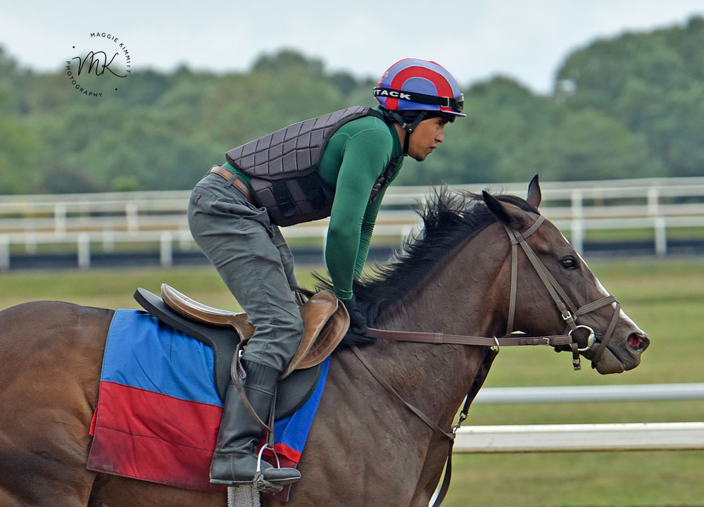 Distant Winter (SAF) gets one in the win column:

herringswellstables.com/96179-2/

#PoweredbyTLore
#HorseBitscuits