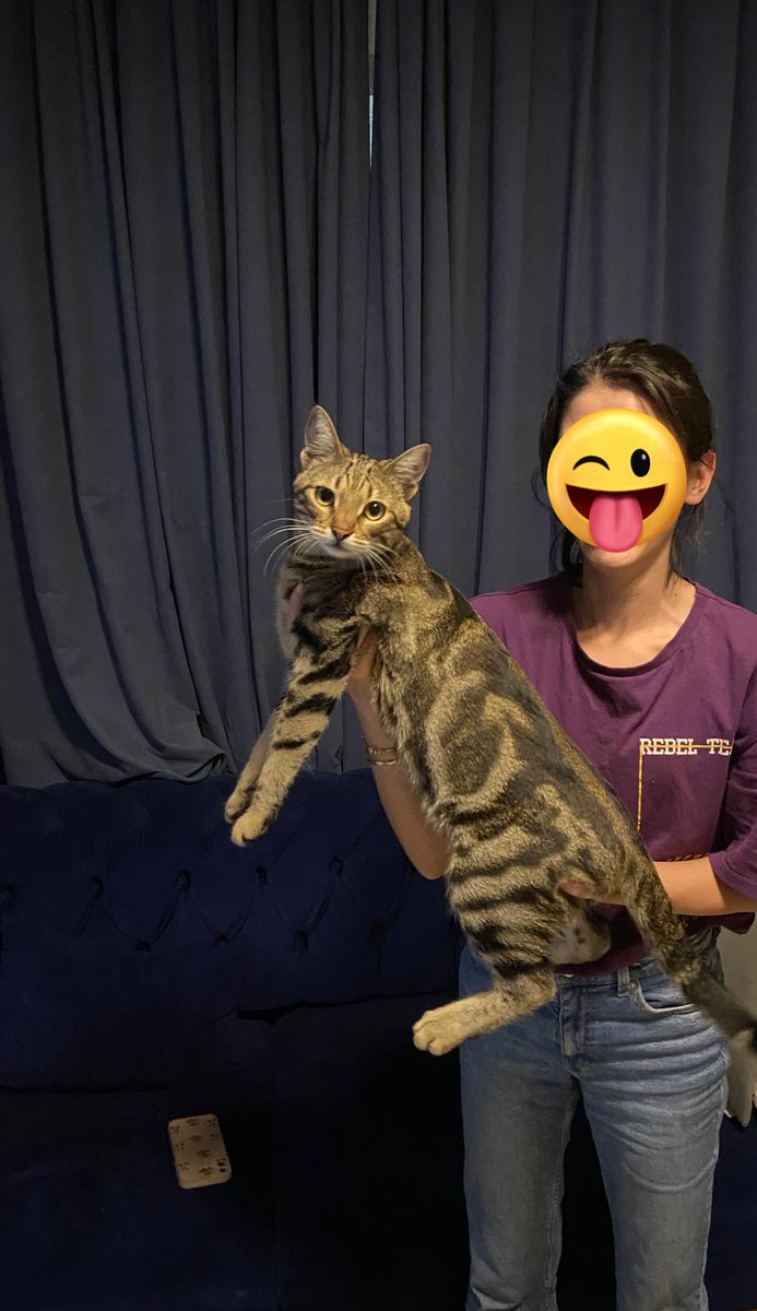 herkesi nba’e yetistirdigim oglumu gormeye davet ediyorum (henuz 11 aylik)