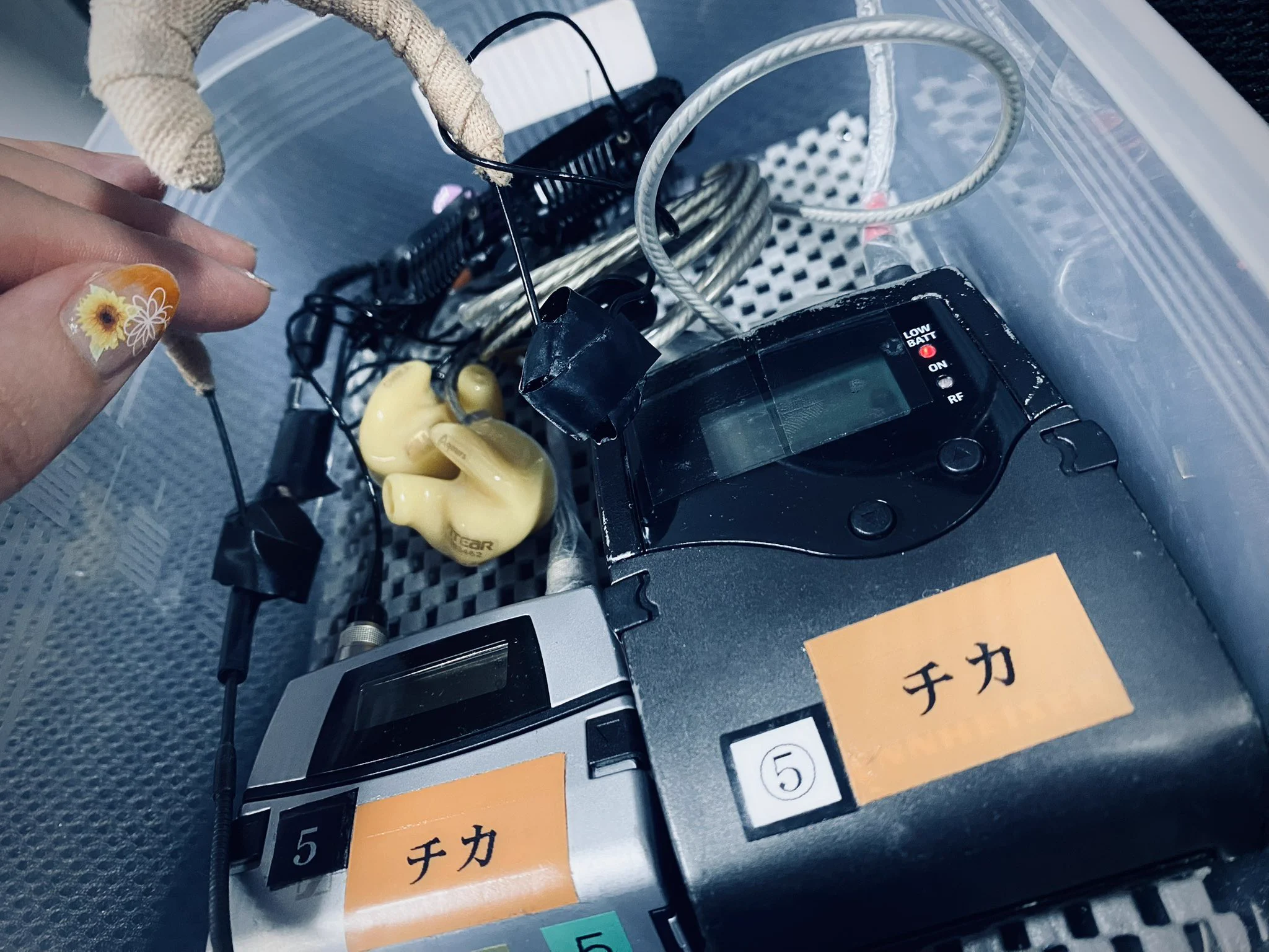 伊波 杏樹 on X: 