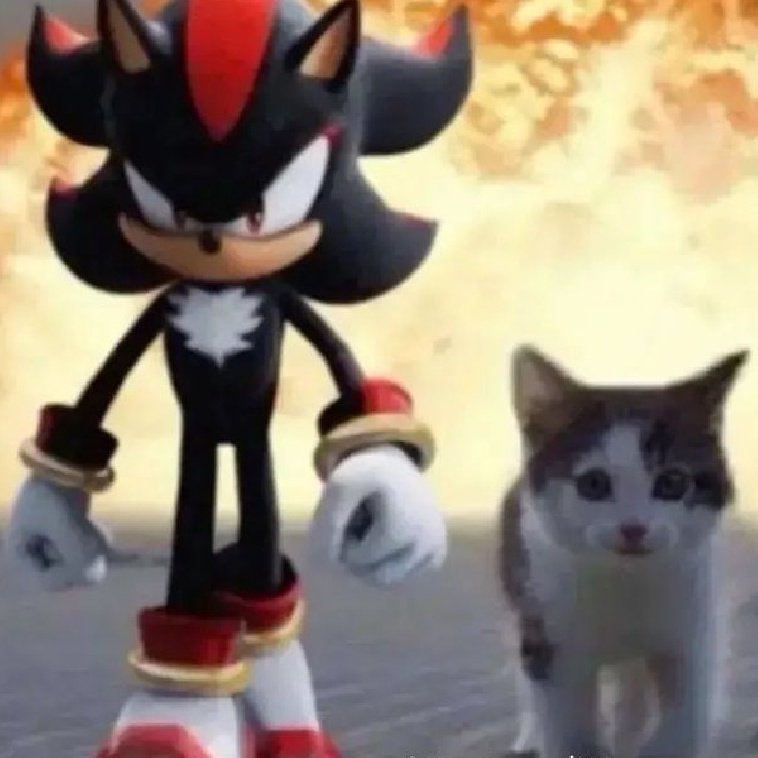 Moon 🎷🐢 tweet media