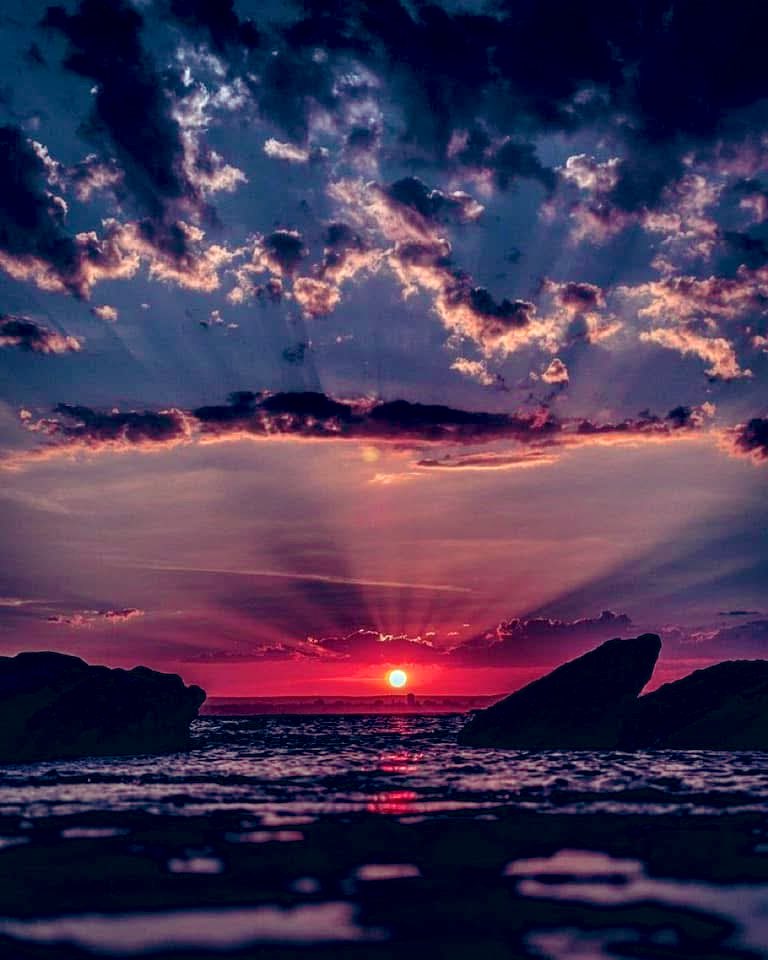 ام حازم tweet media