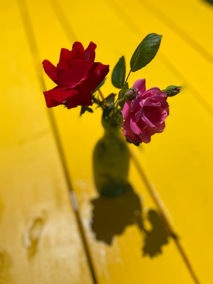 PikaDroo tweet media