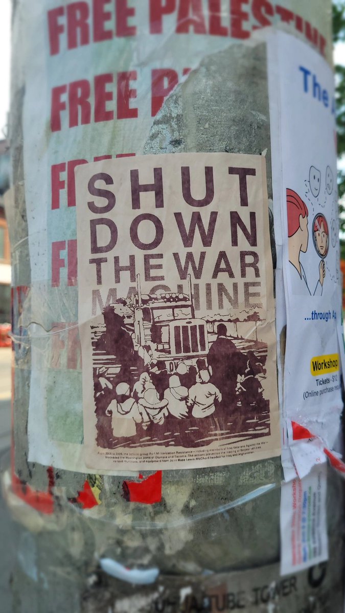 maximilian pegasus 🇵🇸 tweet media