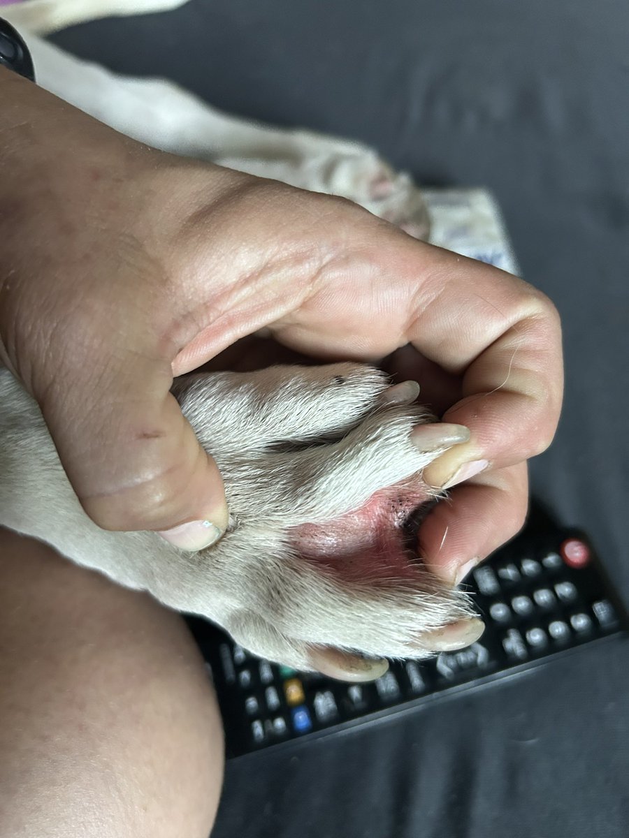 Alińsko znów się na coś uczuliło :(