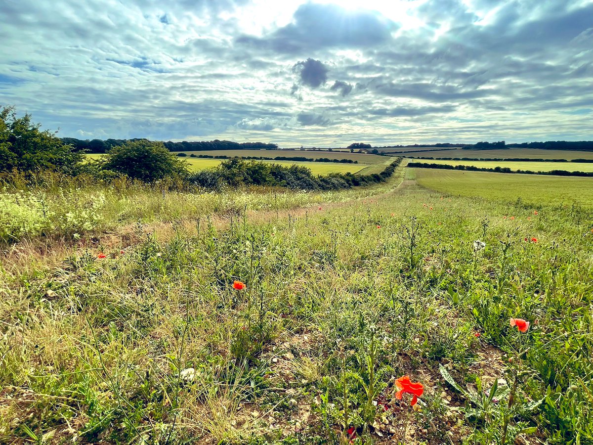 Food, farming and nature!

What’s not to like!!