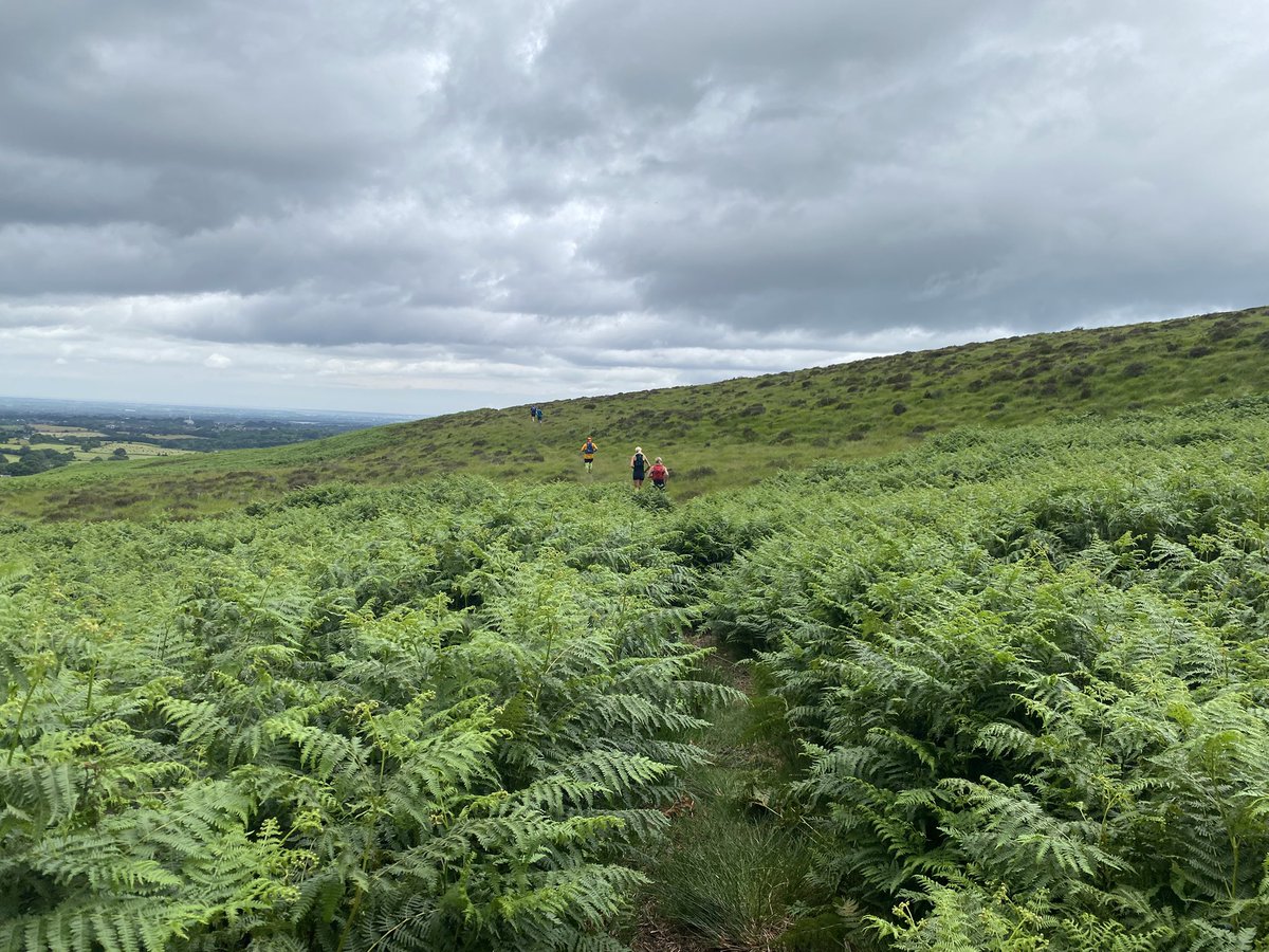 Tillybeanlopez's tweet image. Ahhh Sunday therapy ❤️ #runningwithfriends