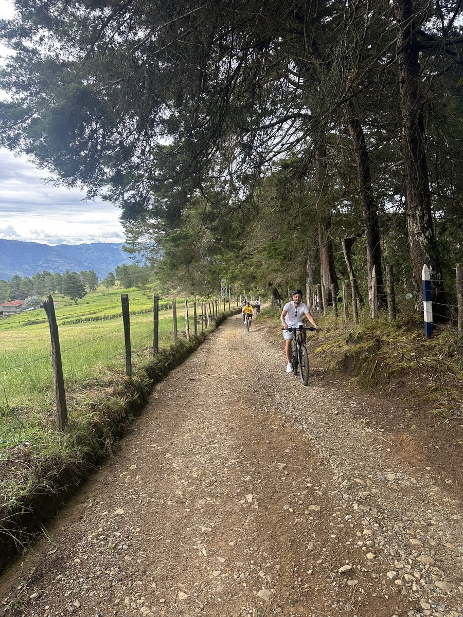 Colin Crouch tweet media