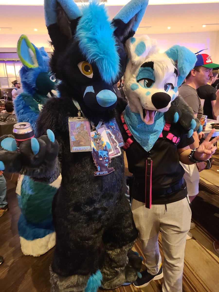 Seems <a href="/awwufus/">Awwufus</a> caught himself an <a href="/ArcticDalmatian/">I'm a 🐶 🥪 🔜 MFF</a> at #FWA2025