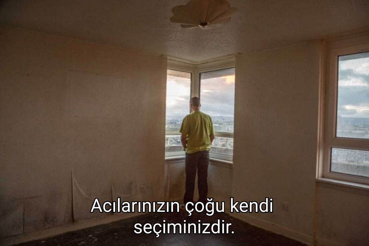 fa mîa (@sofarmia) on Twitter photo 