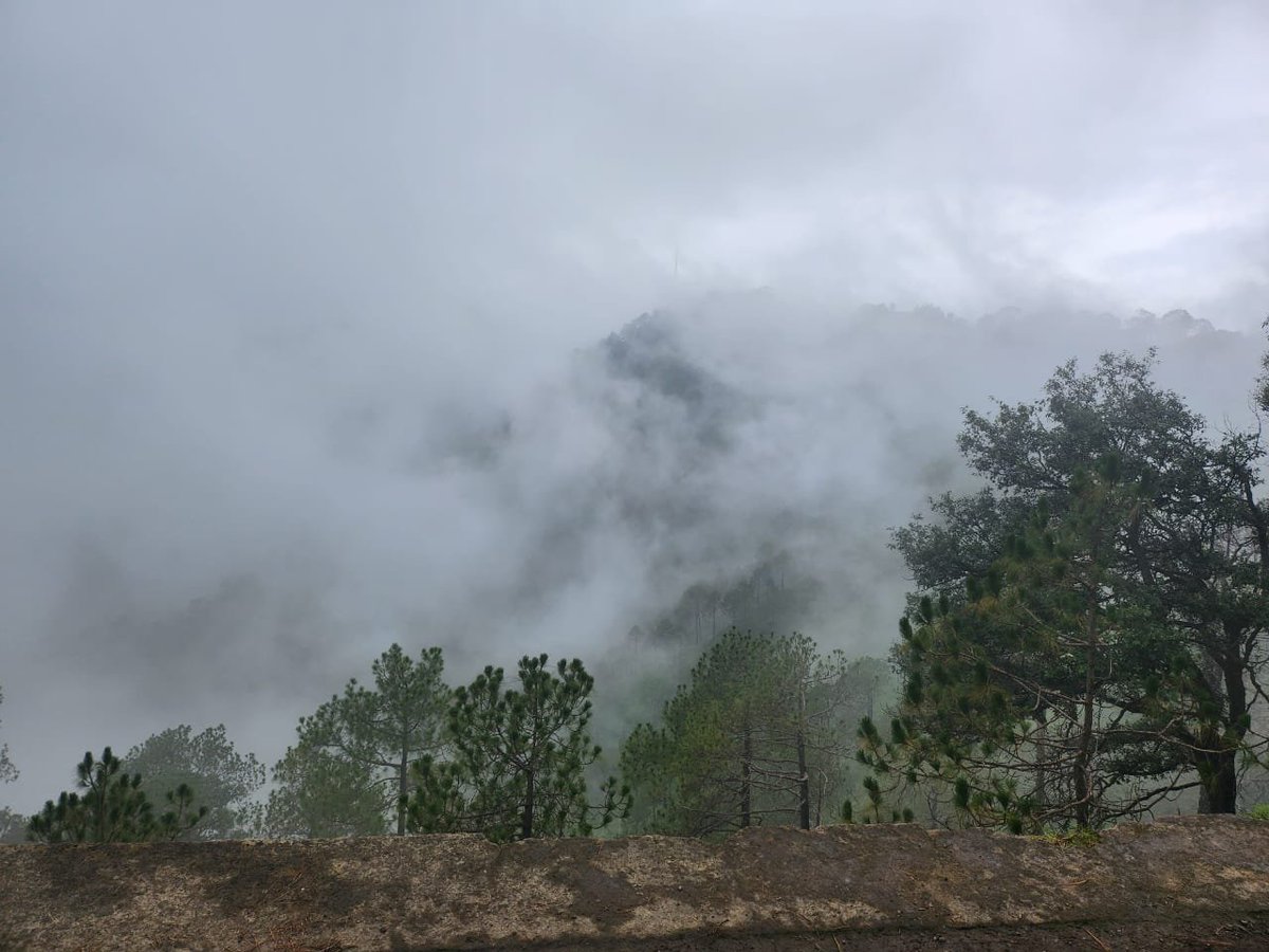 tensorflawed's tweet image. the trek view