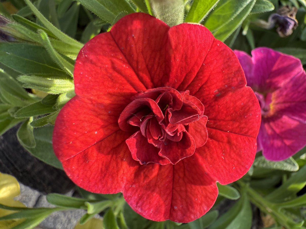 Saffet KÖSE (@saffetkose) on Twitter photo 