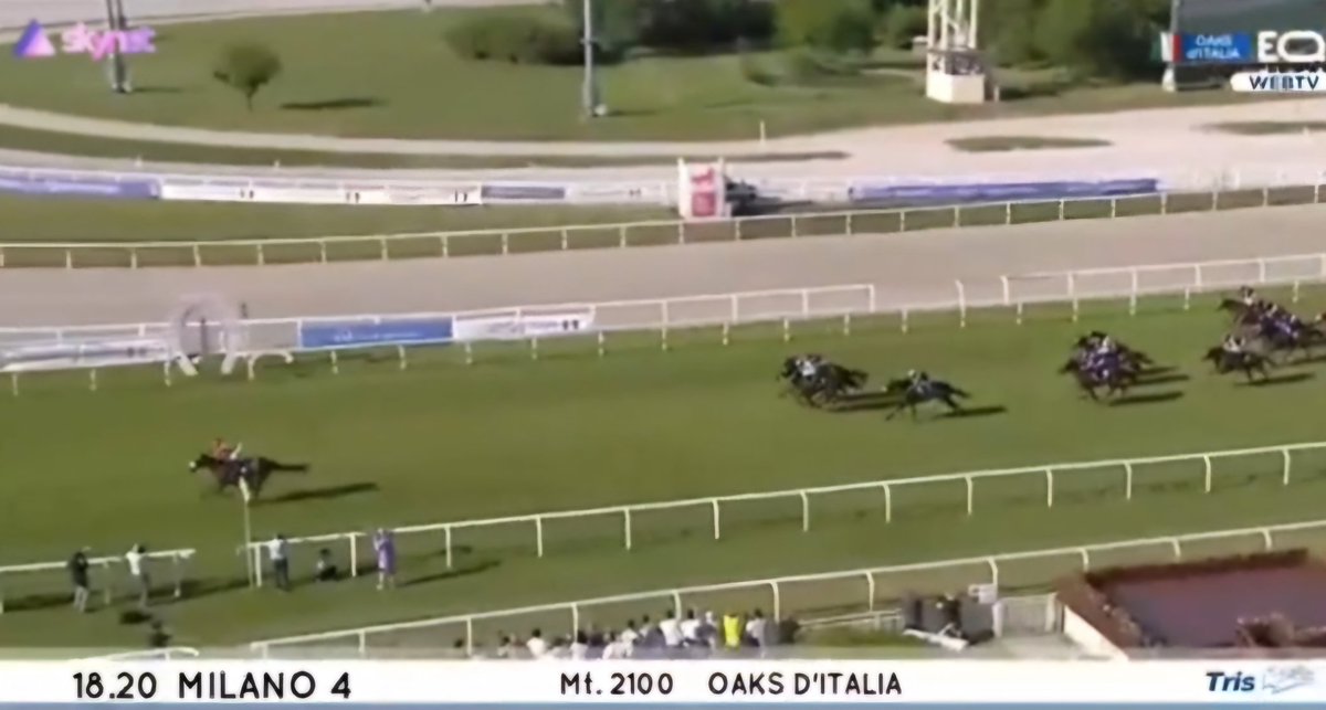 🏆 Dual Classic Winner for MAKE BELIEVE! 🌟
Klaynn completes Guineas–Oaks double with Italian Oaks triumph 🇮🇹

The daughter of Make Believe, lands a sensational Classic double- winning both the Italian 1,000 Guineas (Premio Regina Elena) and now the Italian Oaks (Premio Oaks