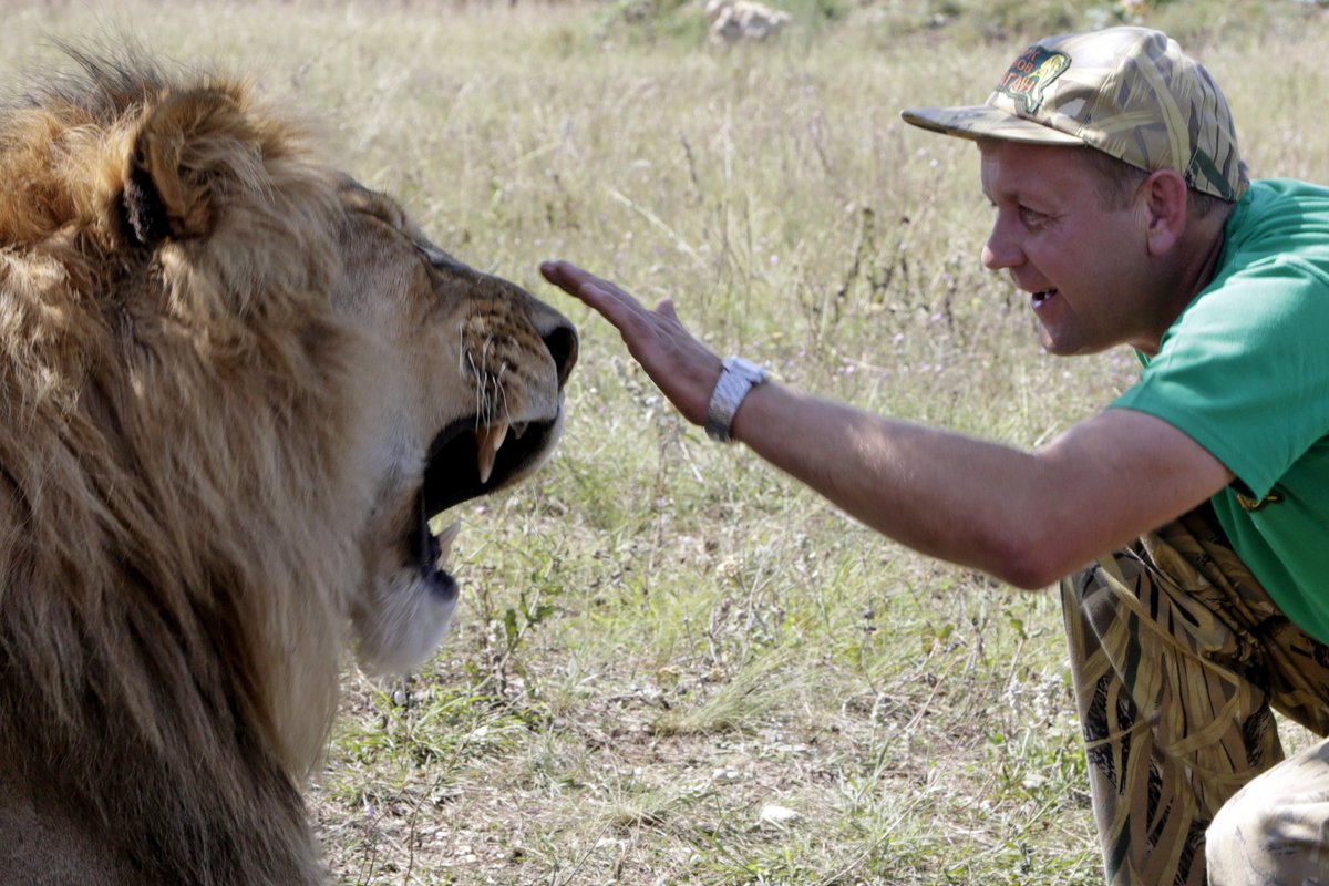 kvistp's tweet photo. Remember the Russian lion whisperer and owner of the Taiga safari park, Oleg Zubkov?
The guy that took stolen animals from Ukraine, including the well known raccoons.
Well, he got mauled by his lions, probably dead by now, yes, very sad, anyway.... https://t.co/0PkI8aeg4K