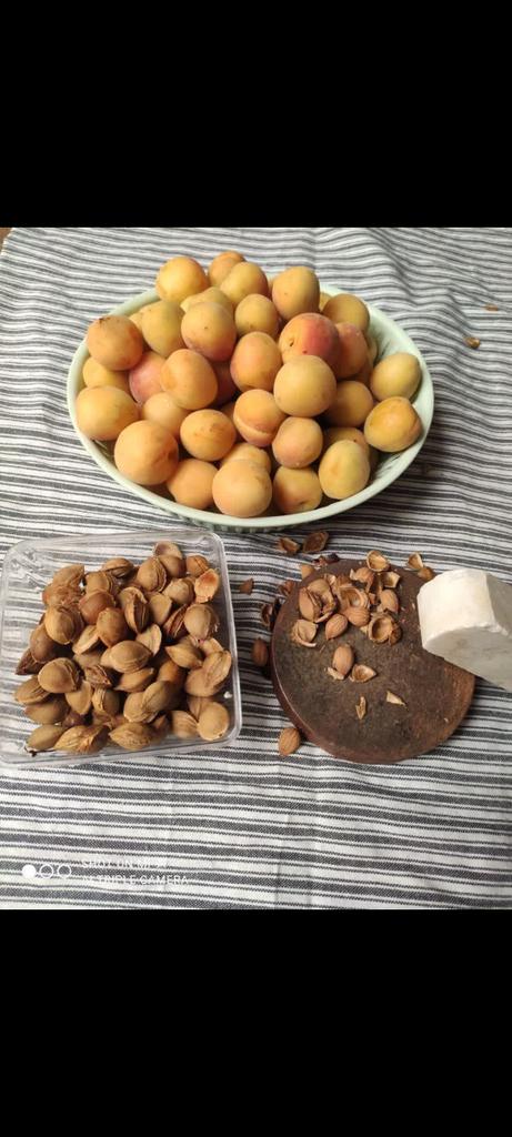 yozarsef_83's tweet image. ما از هستههای زردآلو نمیگذریم
بعد از انرژی هستهای بگذریم؟😁😂
#دژ_ایران
#جانم_فدای_ایران