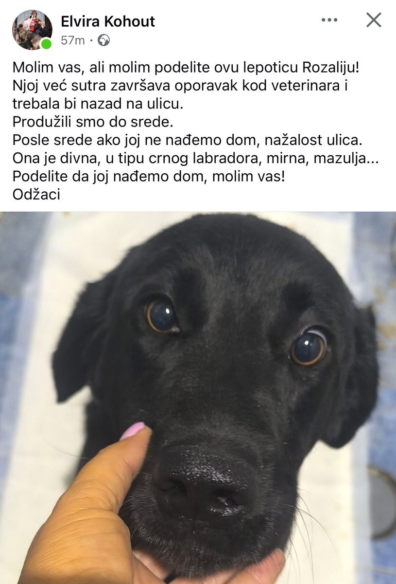 Rt rt rt 🙏🏻🙏🏻🙏🏻
